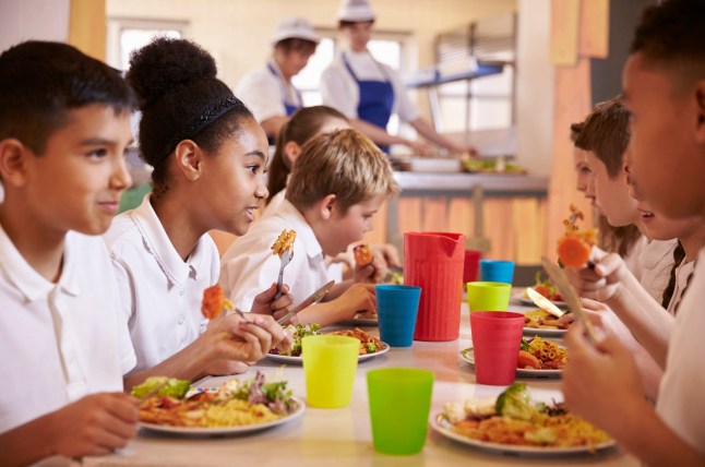 Full list of food and drinks being banned in schools across England