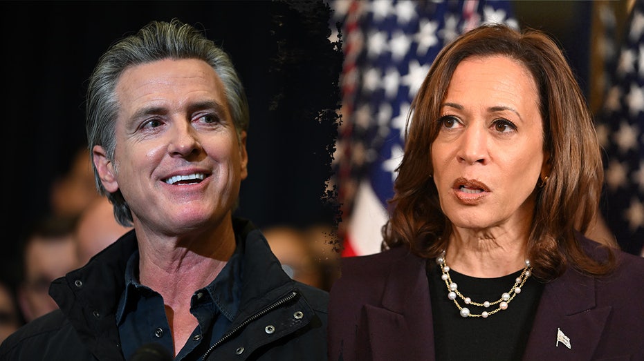 Gavin Newsom says he won't run for president in 2028 if Kamala Harris runs