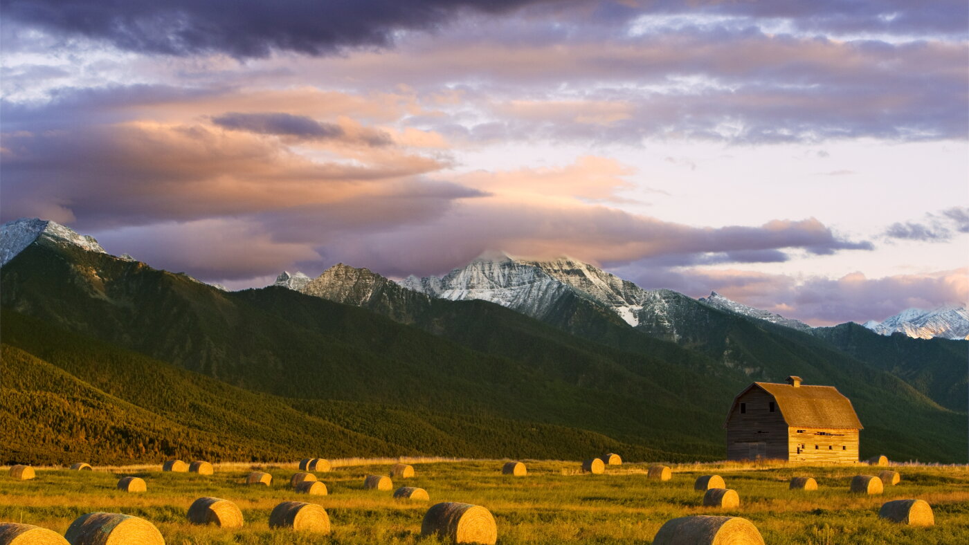 Geopolitics and grain don't mix, say these Montana farmers