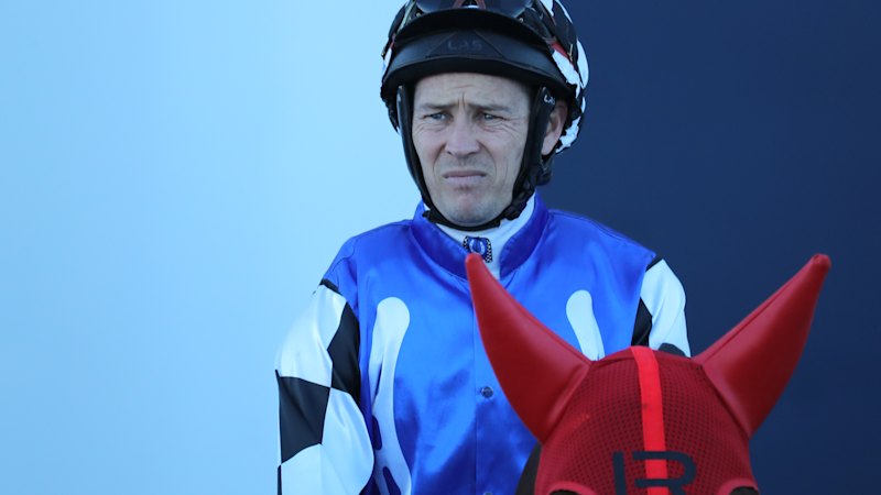 Gibbons out to shine on African Diamond at Muswellbrook