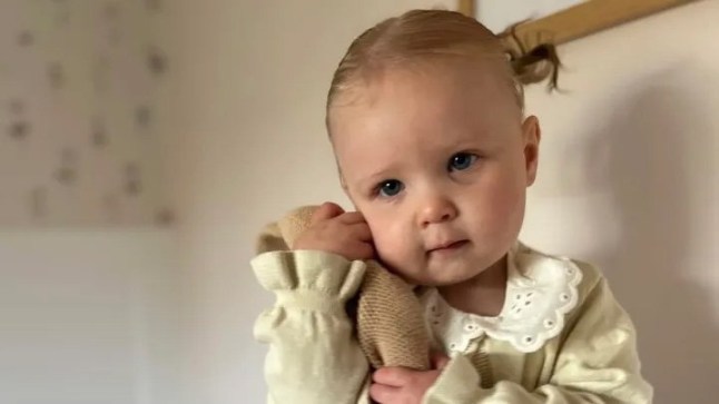 Girl, two, drowned in parents’ garden pond on Christmas Day after disappearing for just ‘minutes’
