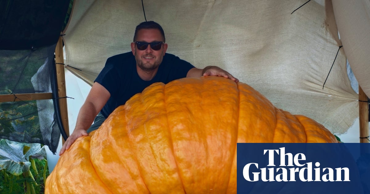 Gladys the giant pumpkin: is this the biggest fruit in the world?