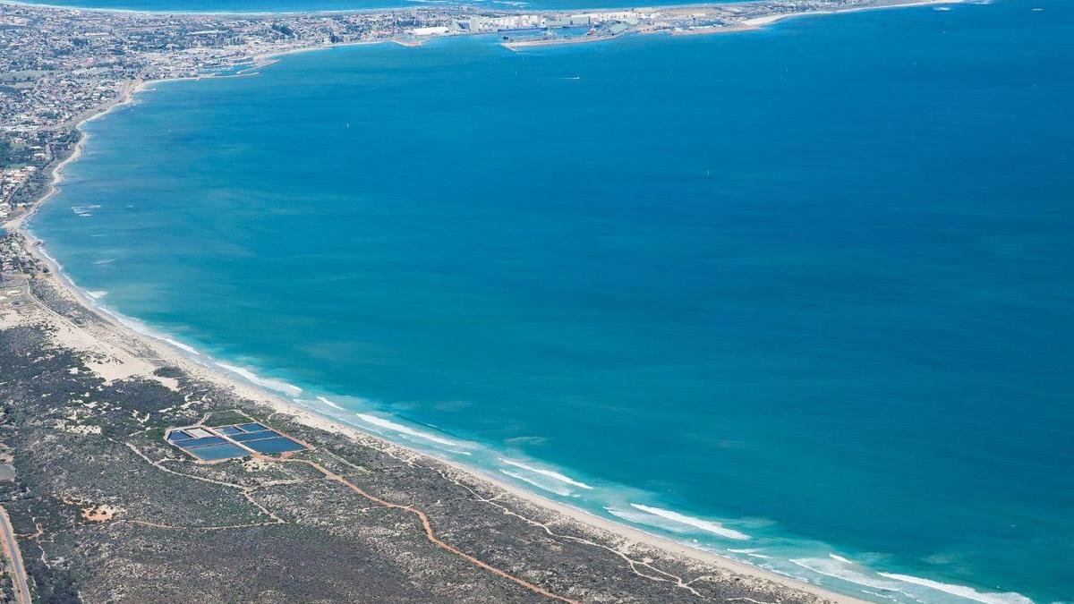 Glenfield Beach shark attack: Man rushed to hospital after shark attack at beach north of Geraldton