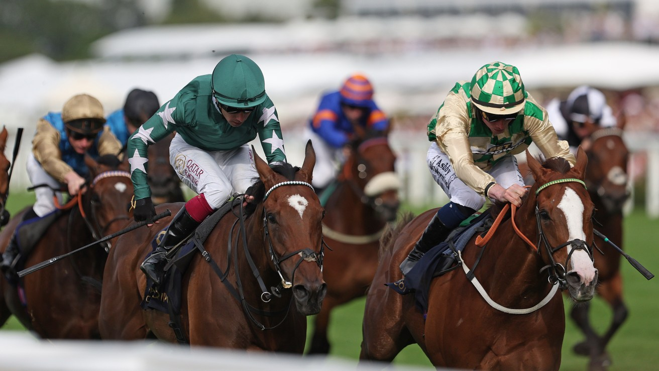 Great Expectations for Dickensian and Paddy at Newbury