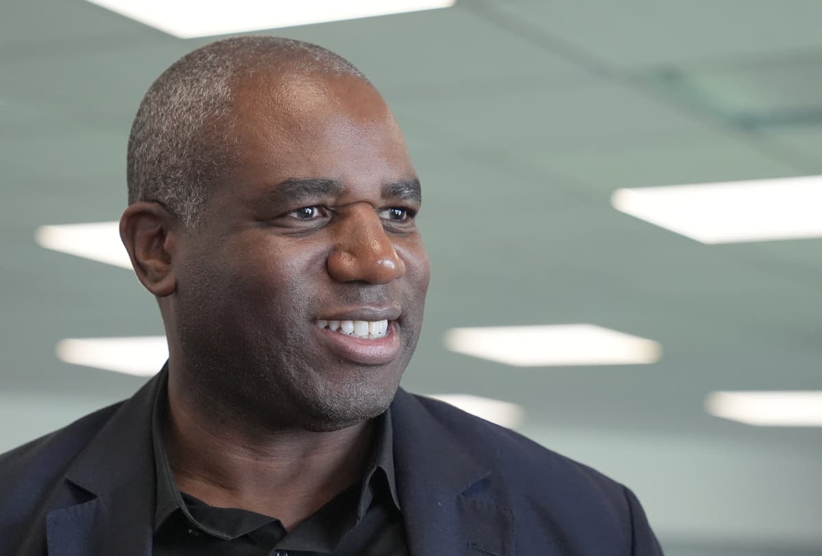 Green-voting 'hipsters' could oust me as Tottenham MP, admits ex-Foreign Secretary David Lammy