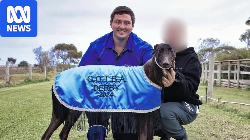 Greyhound trainer handed lifetime ban for 'egregious' actions