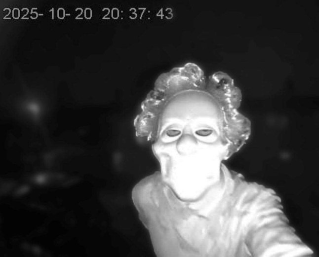 Growling stalker turned up at ex-partner’s home dressed as a clown with an axe