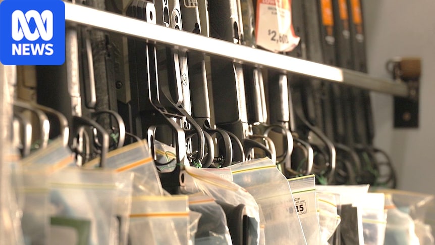 Gun law reform in Tasmania on knife's edge with independent holding casting vote