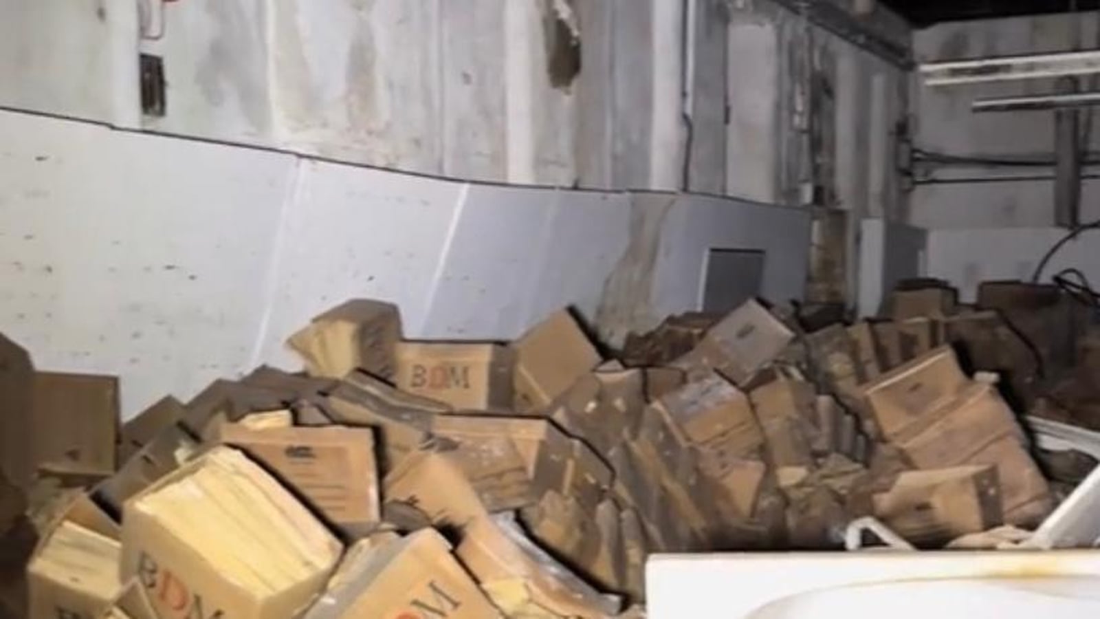 HSE fined €645k over records covered in animal droppings