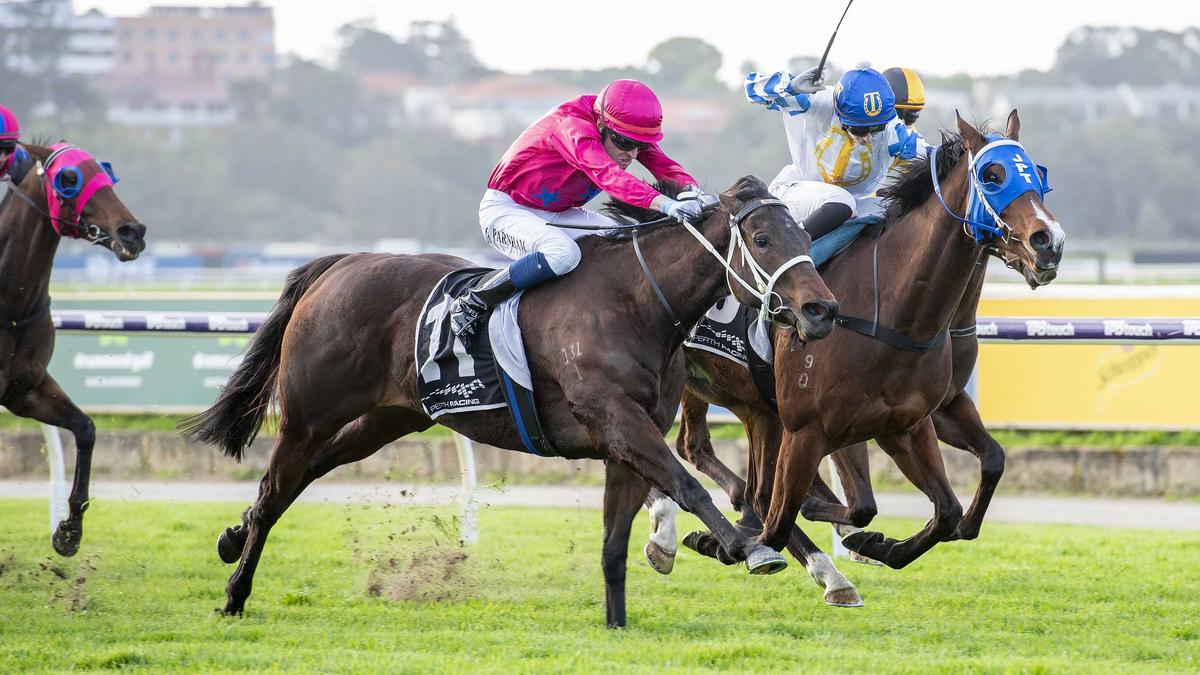 Haida Gwaii makes lie of 1200m doubts with another win over Ginnivan in Nicopolis Stakes at Belmont