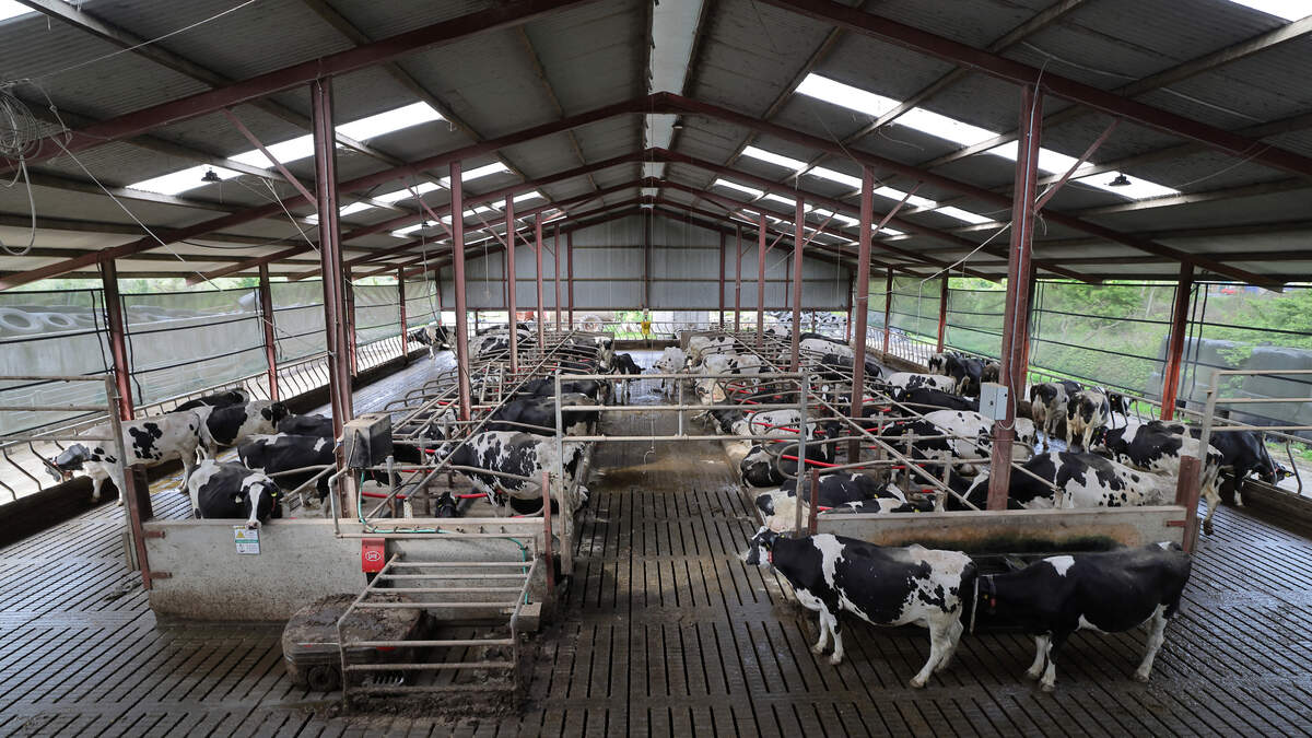 Half of dairy farmers have no successor lined up, despite confidence in sector