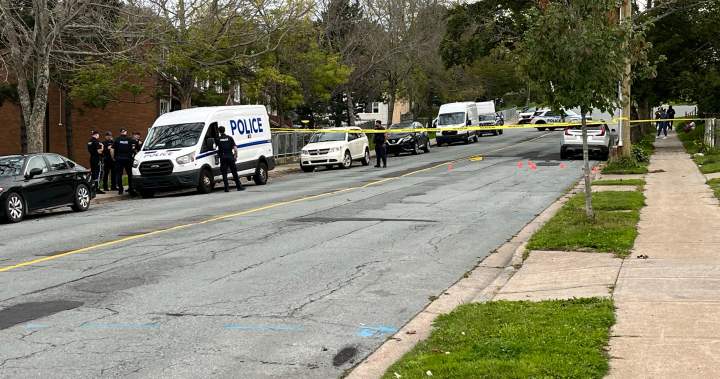 Halifax police investigating daylight shooting, no injuries reported