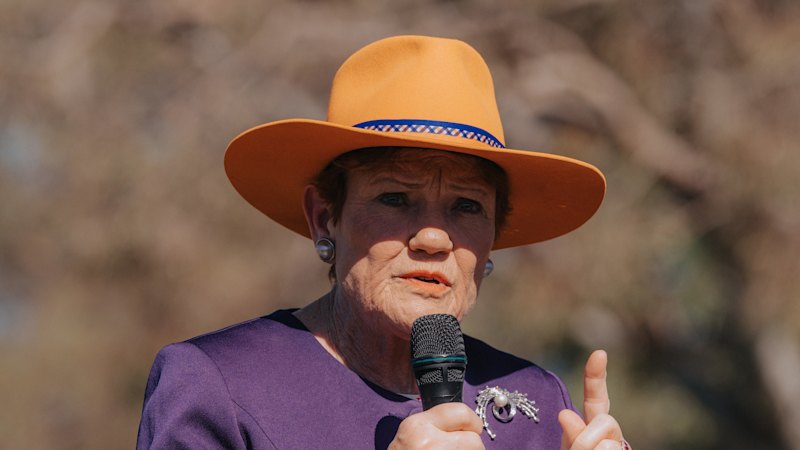 Hanson, Coalition ready to fight Labor’s plan to tame social media feeds