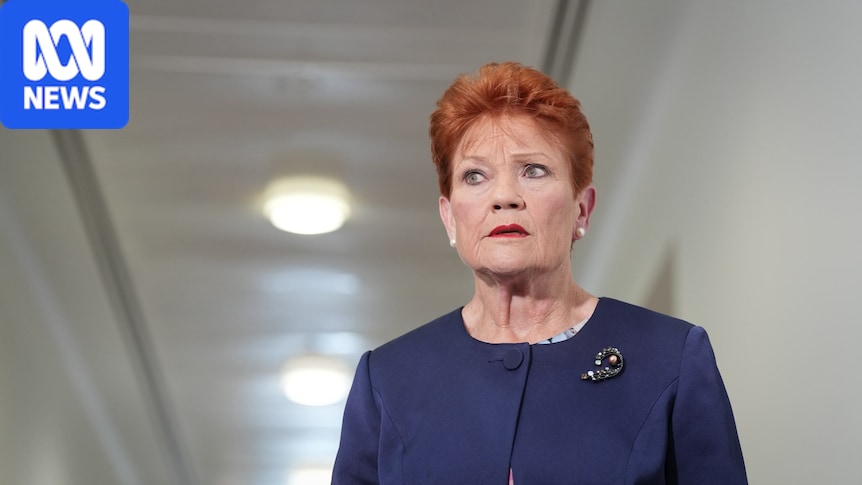 Hanson apologises if she caused offence by Indigenous Australian remarks