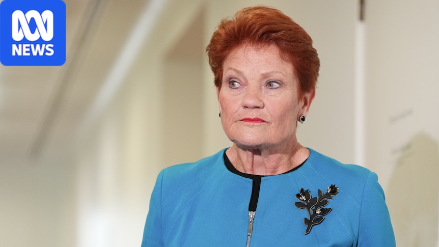 Hanson risks accusations she's using a security issue for political points