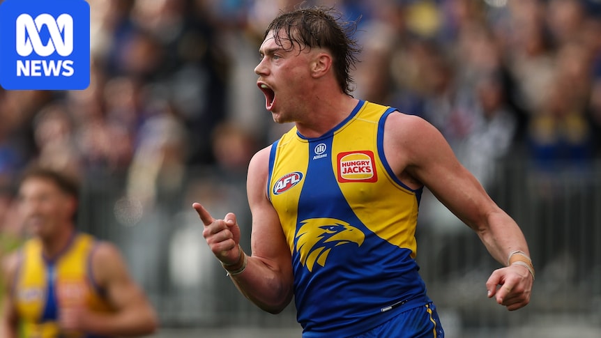 Harley Reid opens up on celebrity, free kicks and the AFL's 'WA tax'