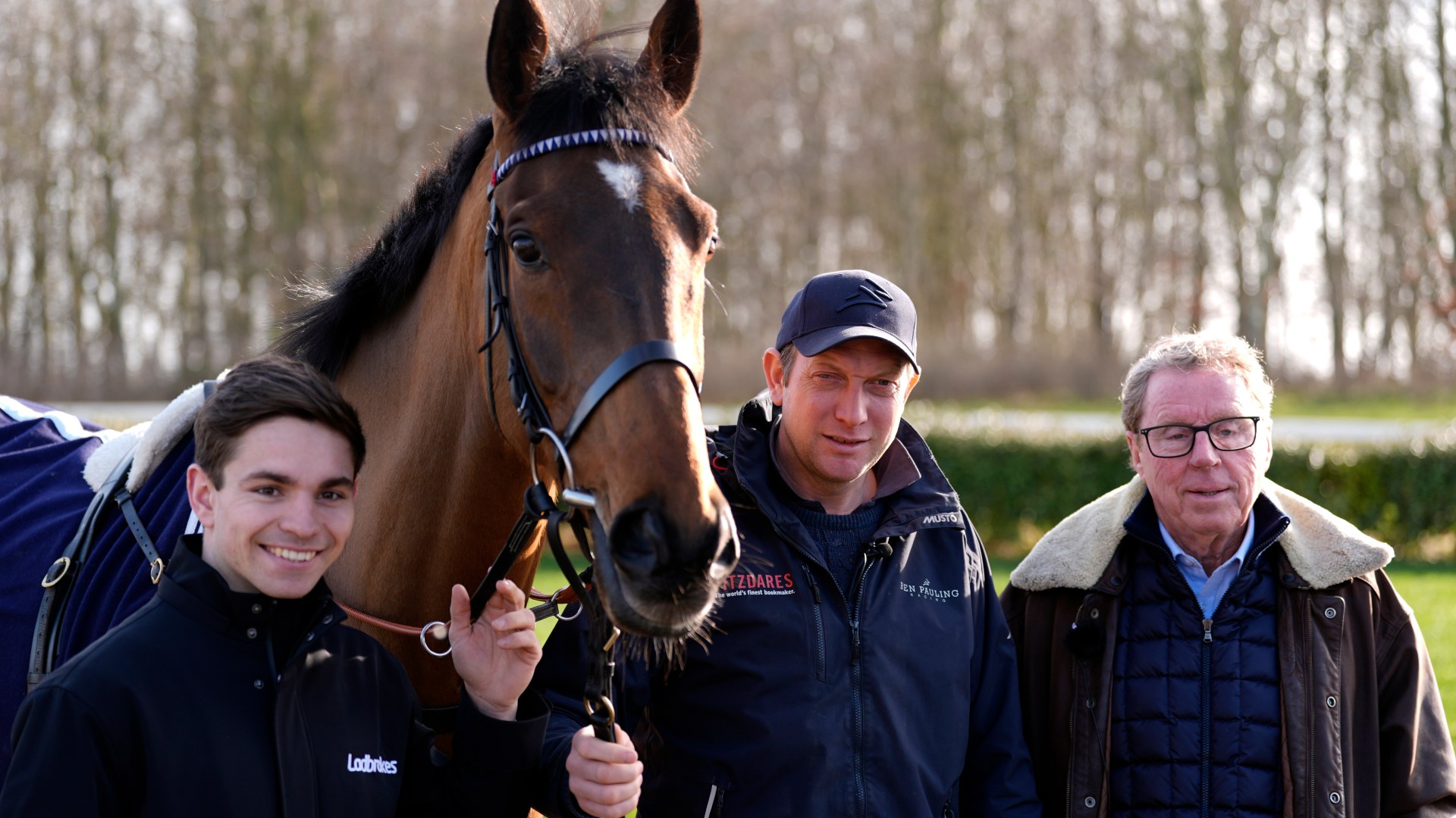Harry Redknapp gutted as star horse The Jukebox Man is ruled OUT of first half of jumps season