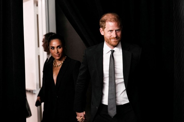 Harry and Meghan are still not working royals