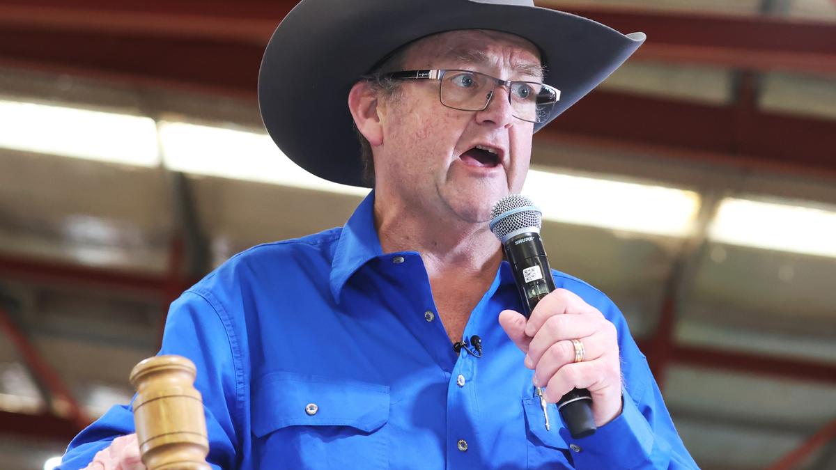Harvey’s auctioneer icon Tiny Holly named finalist in Australian Agriculture awards