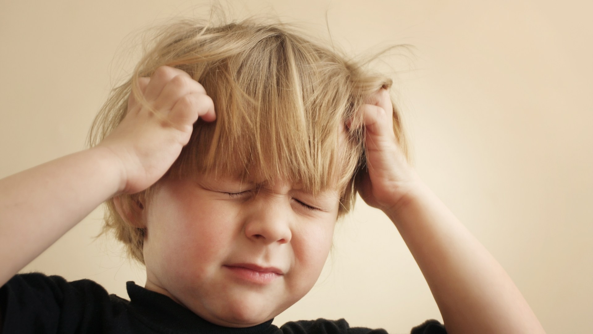 Head lice warning as bugs become RESISTANT to treatment – the 3 hacks that really work as cases surge