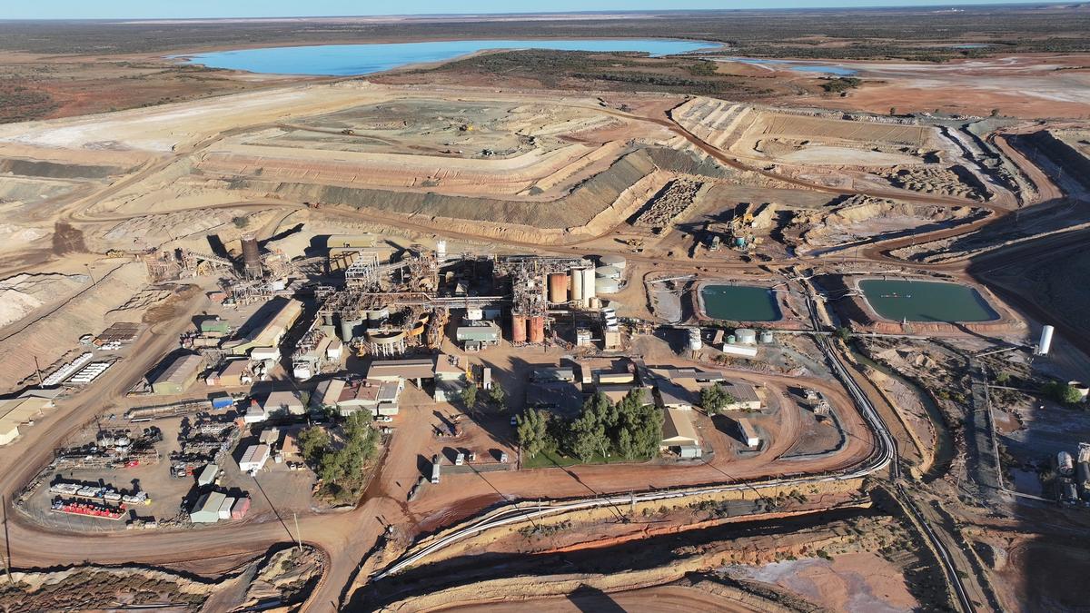 Herd on the Terrace: Gold hopeful Wiluna’s finances revealed as IPO deadline looms