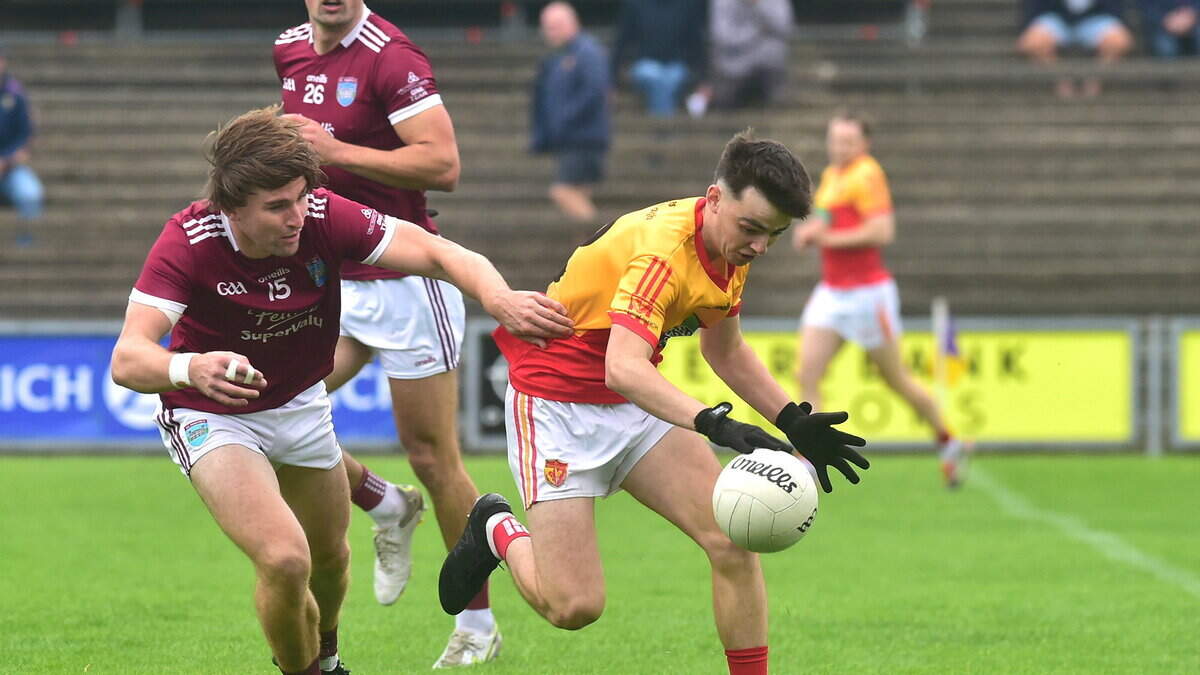Highlights and report: Barry O'Connor plays first full game since return from Australia as St. Martin's see off Sarsfields at their ease