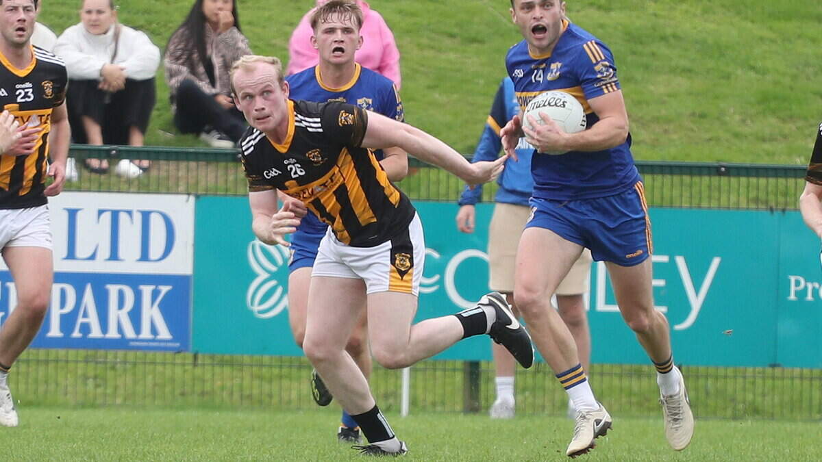 Highlights and report: Captain Cash nets decisive goal as Shelmaliers pip Gusserane to top spot