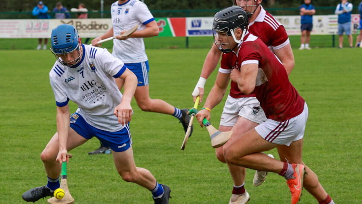 Highlights and report: Craanford have a little extra to leave Liam Mellows sidelined in race for Intermediate hurling title