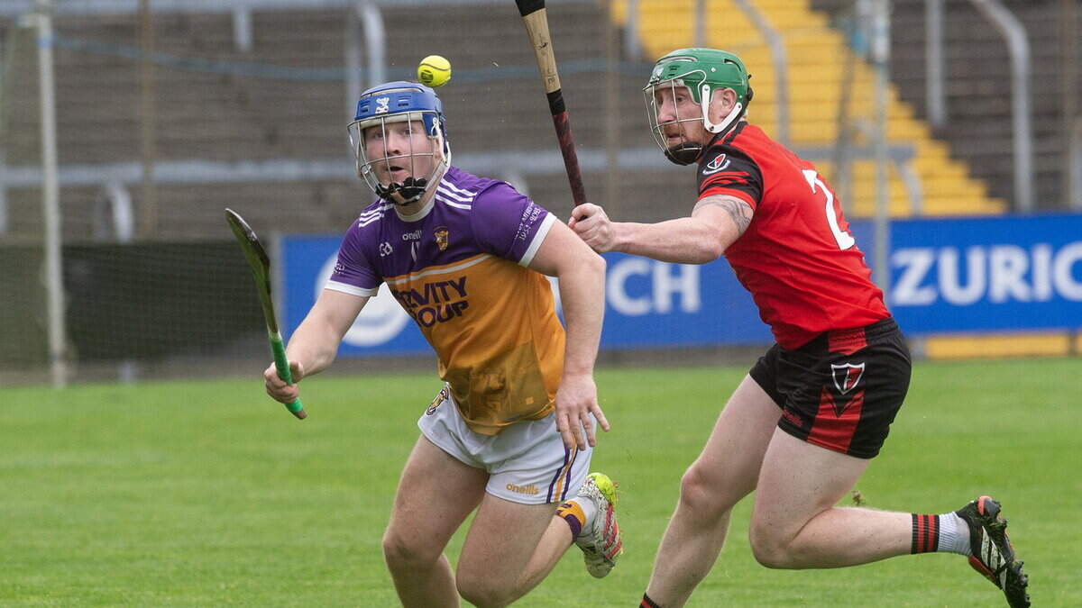 Highlights and report: Faythe Harriers to meet Shelmaliers again in quarter-final after two-point dismissal of Oulart-The Ballagh