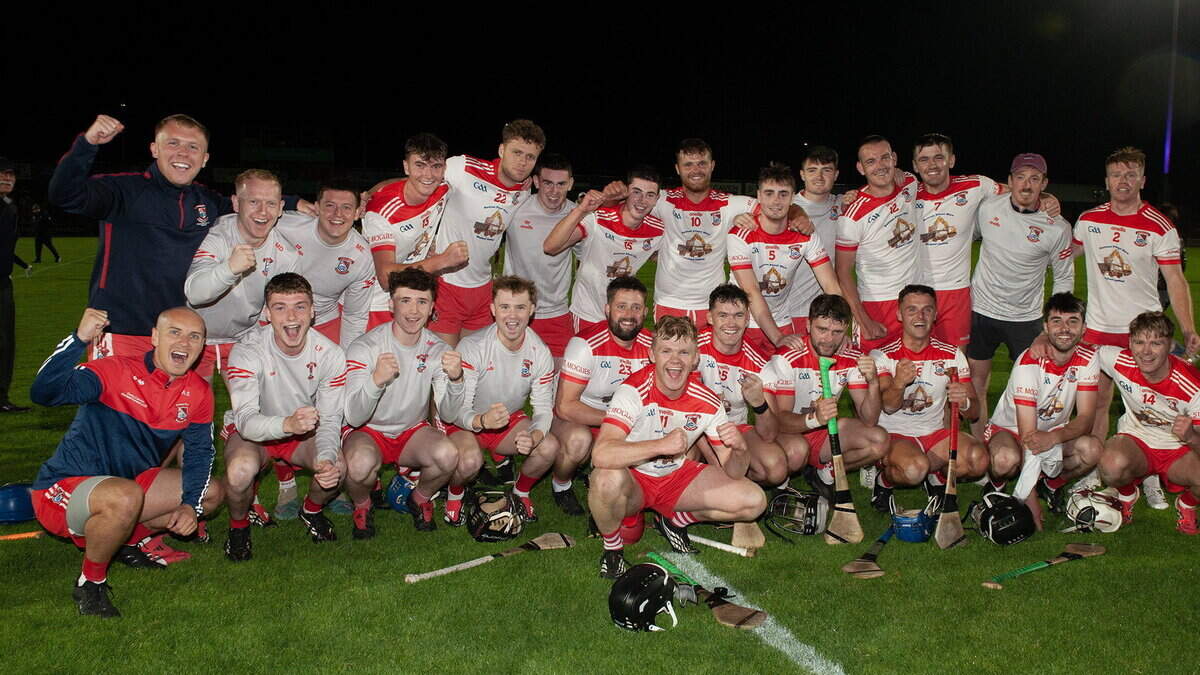 Highlights and report: Fethard preserve Senior hurling status in thriller as Rapparees relegated from top flight for first time since formation in 1972