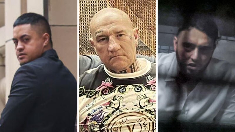Hitmen who executed gangland enforcer Gavin Preston spared life in prison