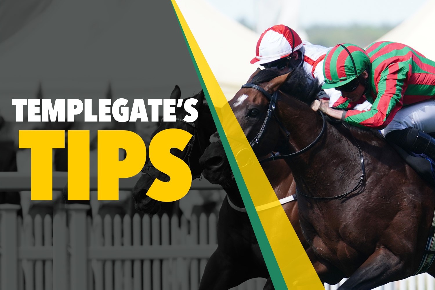 Horse racing tips: ‘He’s fresh, loves the ground and will put up a big fight’ – Templegate’s Friday NAP