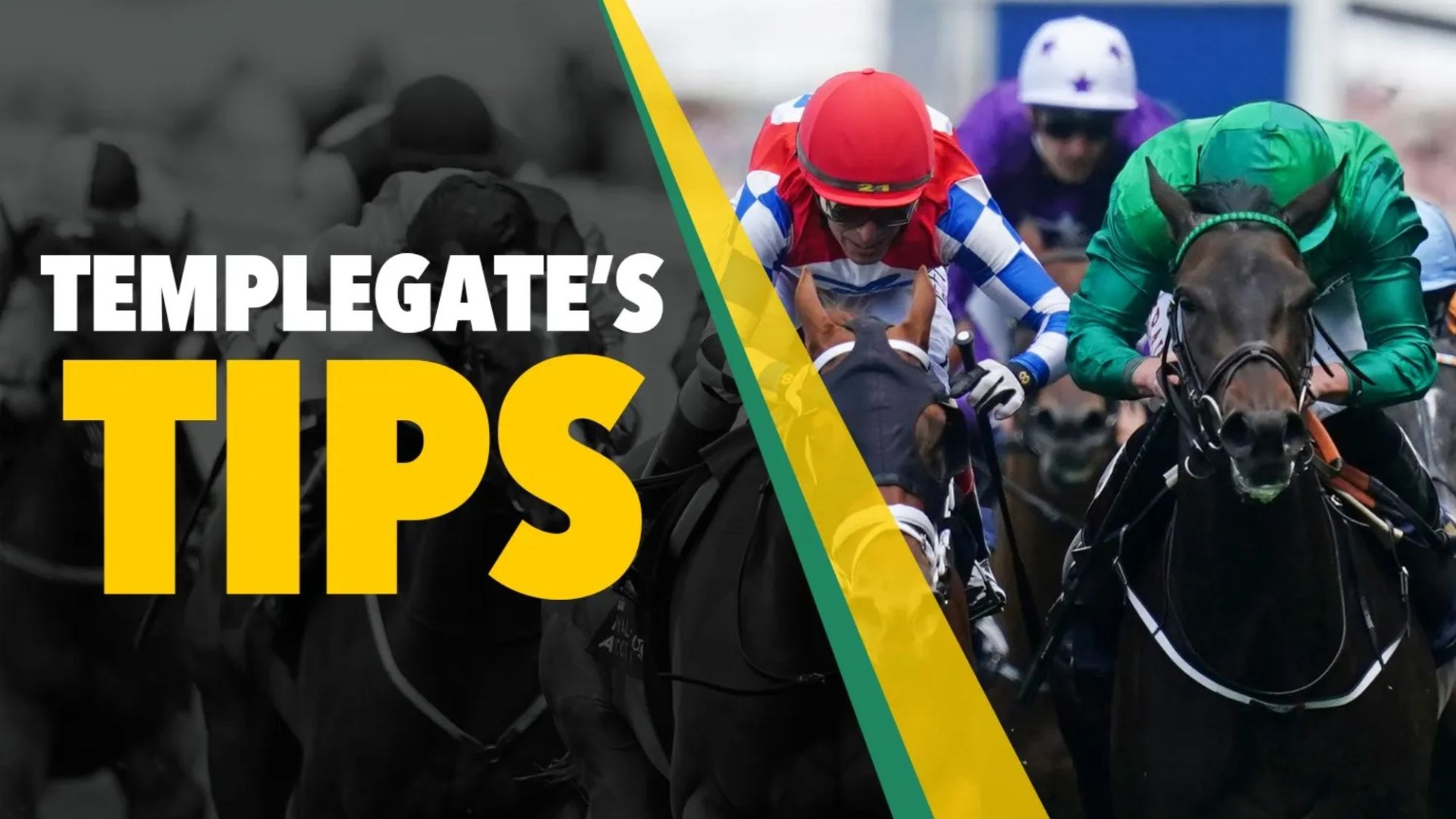 Horse racing tips: ‘Legendary jumps trainer has one ready to win’ – Templegate’s Sunday NAP