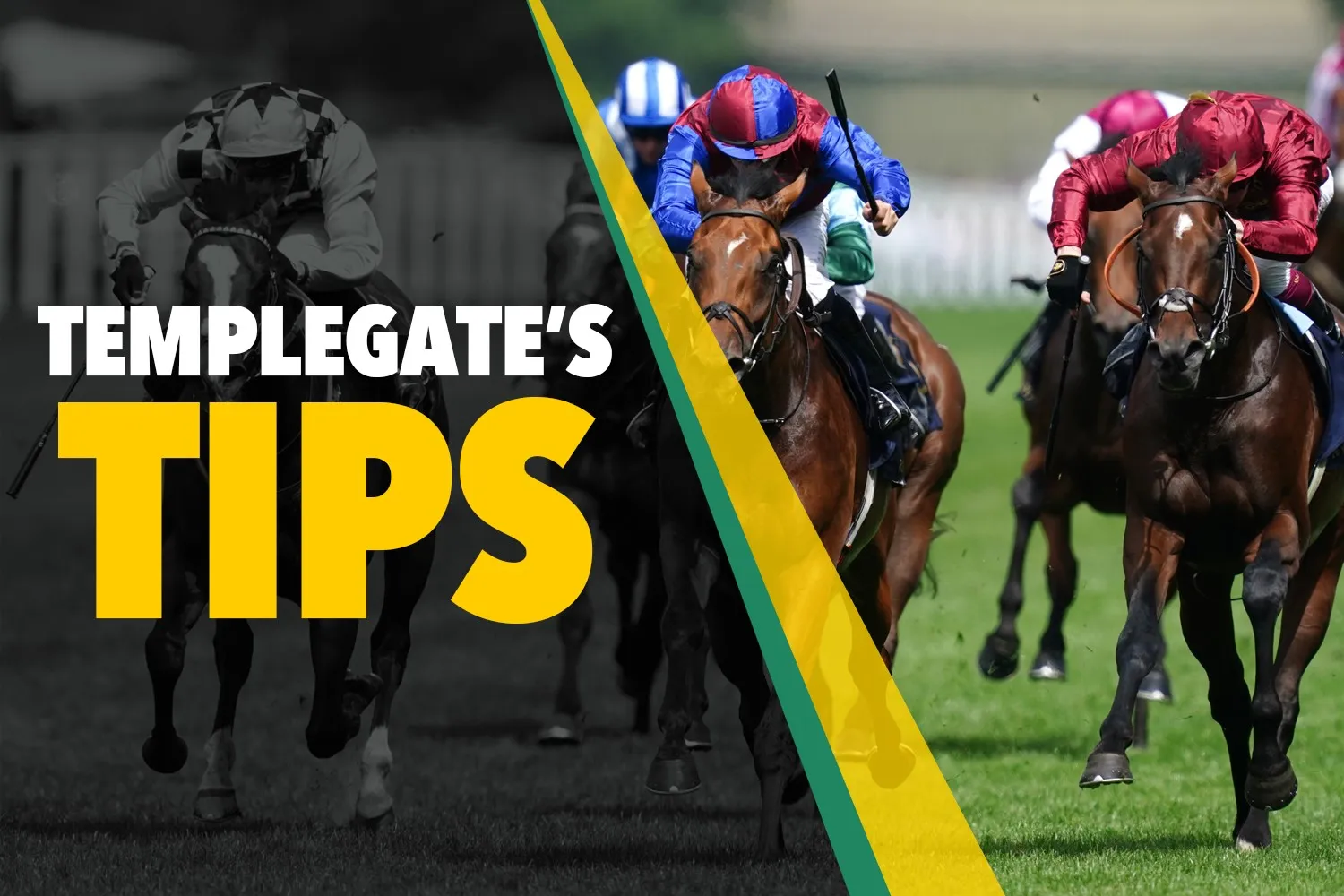 Horse racing tips: ‘She’ll bounce back for Owen Burrows’ – Templegate’s Sunday NAP