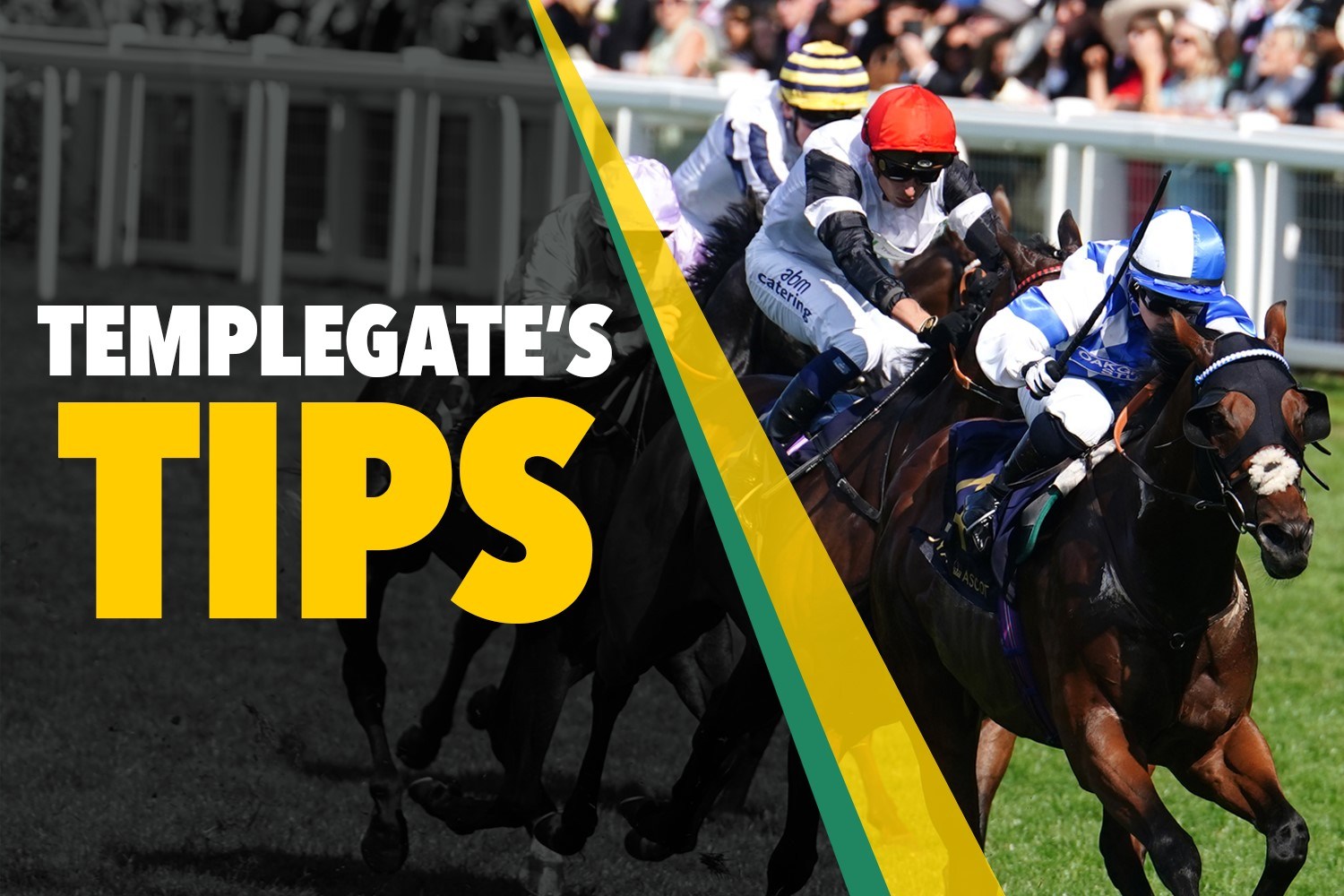 Horse racing tips: ‘She’s blessed with speed and can scoop this easier race’ – Templegate’s Wednesday NAP