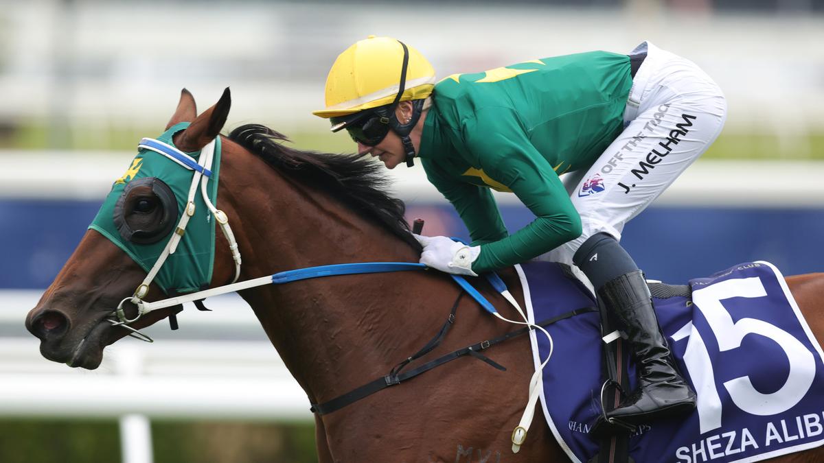 Hot favourite Sheza Alibi set to renew Group 1-winning ways in Makybe Diva Stakes at Flemington