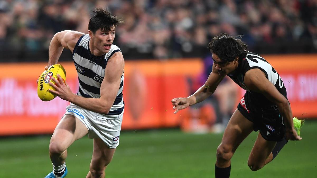 How Cats' spark got himself back on track