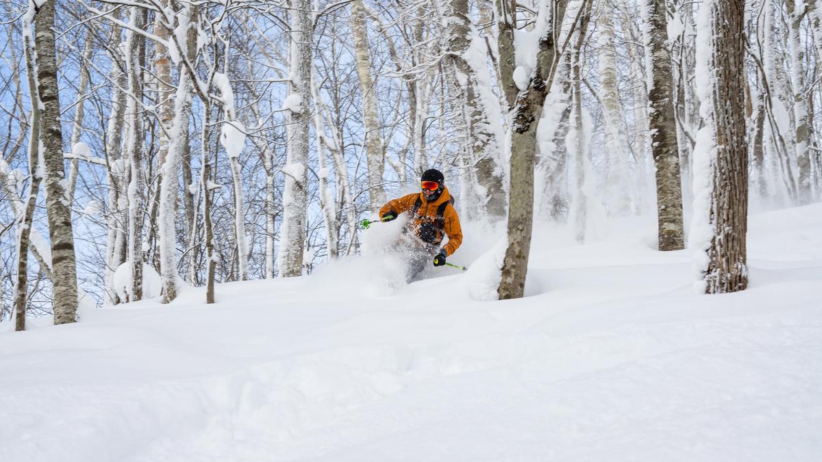 How El Nino may affect snow in Sapporo (& its new hotels)
