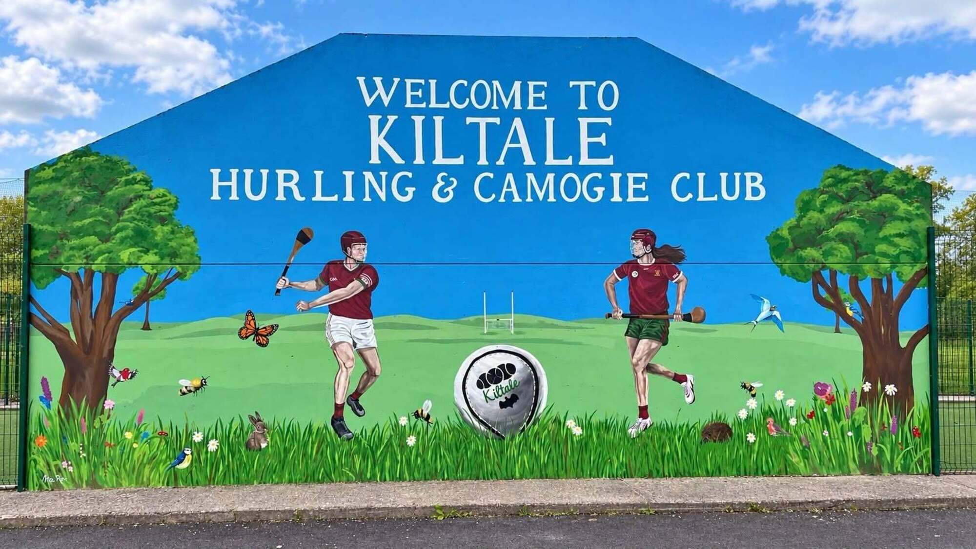 How a simple hurling wall became a community canvas at a Meath GAA club