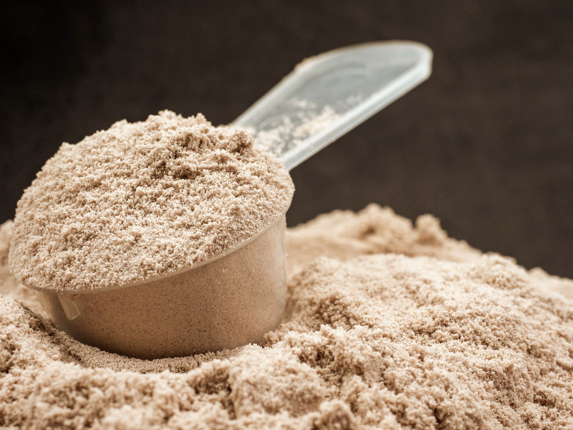How much protein do we actually need? Here’s another food we should be maxxing instead