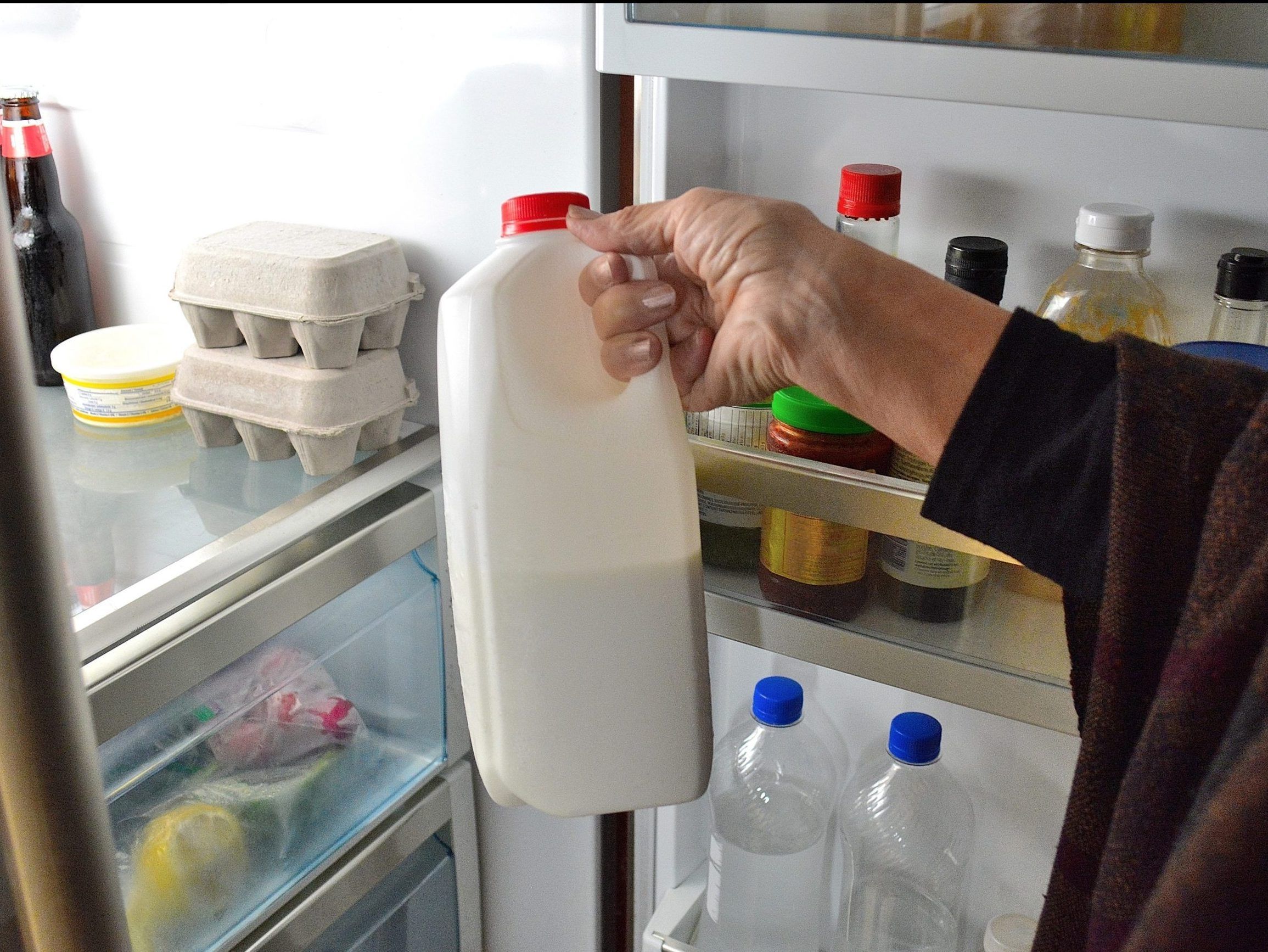 How often should you clean your fridge to keep food bacteria away?