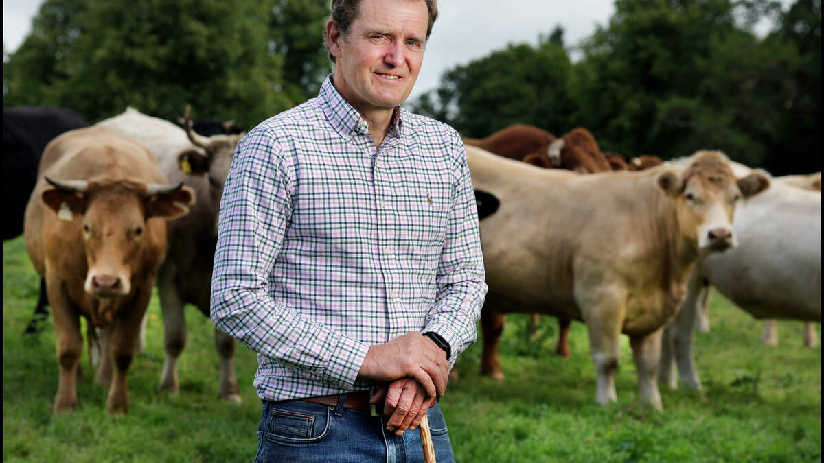 How the EU ban has belatedly vindicated all our concerns about Brazilian beef