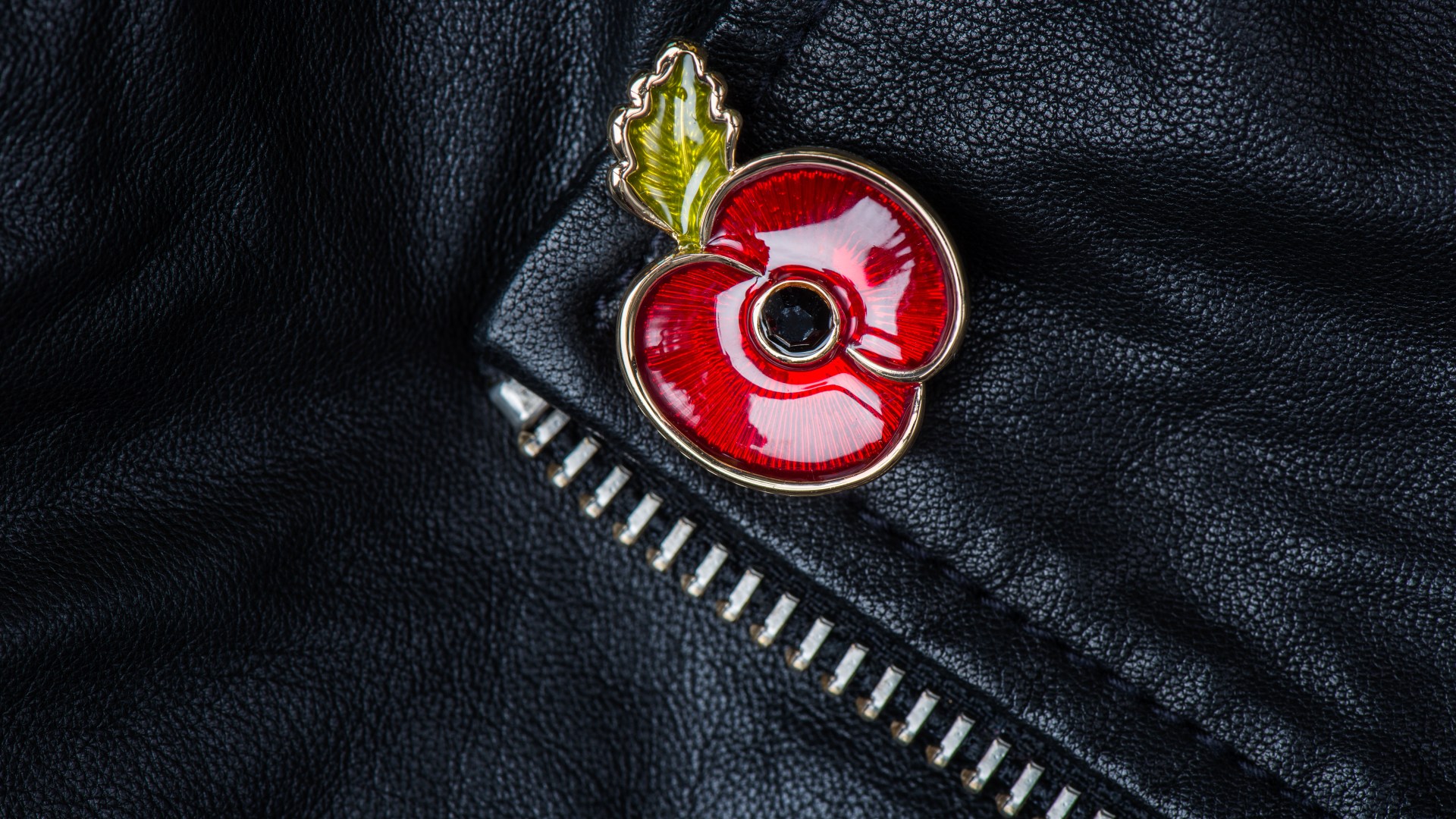 Hundreds of bereaved military  families to get FREE travel for Remembrance weekend as scheme expanded