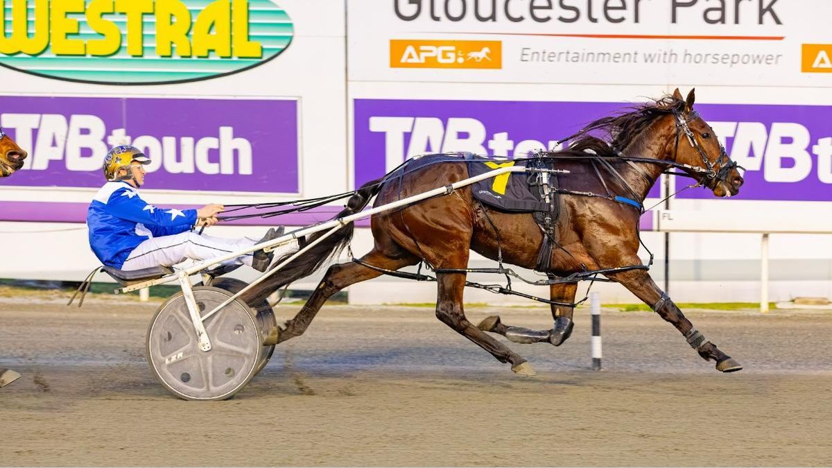 Ignite The Furnace can provide Sarah Wall with a watershed win in the Group 1 $215,000 Westbred Classic
