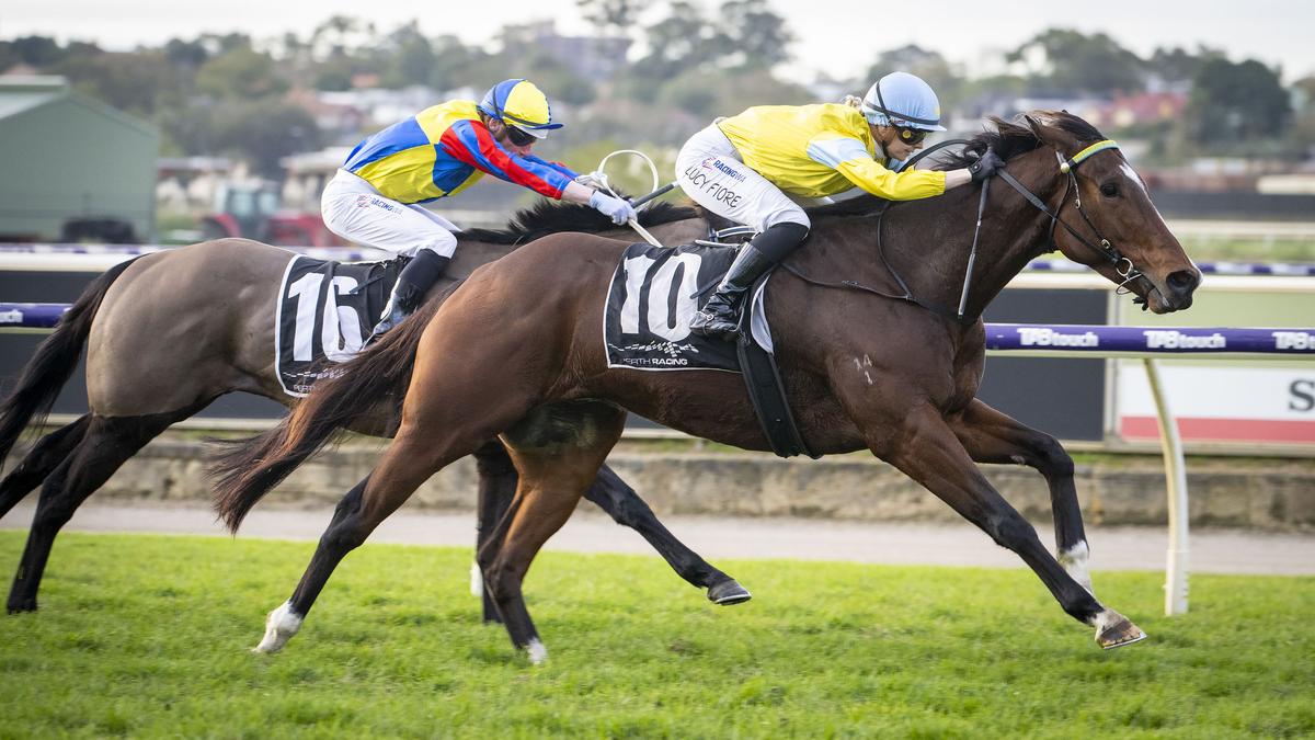Immortal Bliss confirms favouritism for $1 million Golden Saddle slot race with Belmont trial win