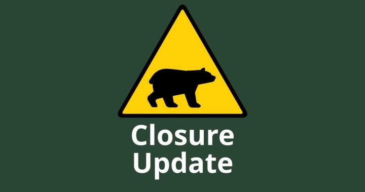 Increased bear activity prompts closures at Bruce Peninsula National Park