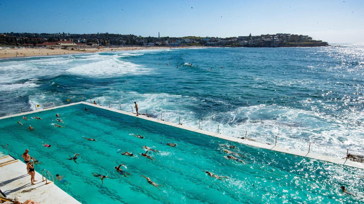 Indigenous land claim lodged against iconic Bondi Icebergs, fears sporting clubs could face eviction