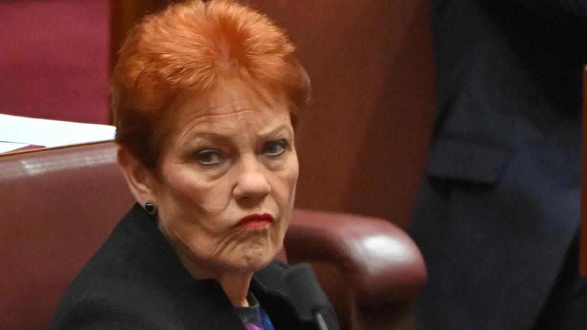 Indigenous senator slams Hanson's 'primitive' slur