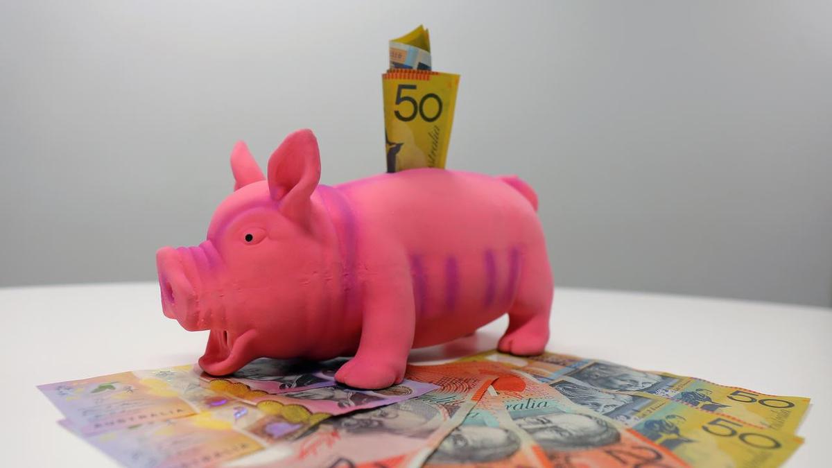 'It's your own money': One Nation push for early super