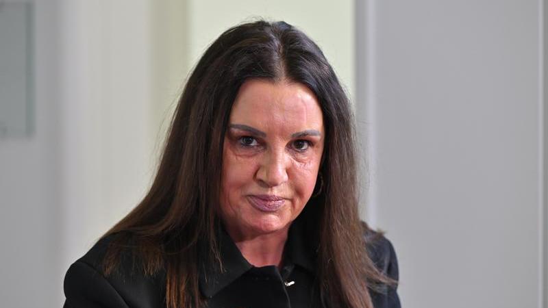 Jacqui Lambie brands Pauline Hanson a ‘bloody coward’ for attacks on Liberal MP Andrew Hastie